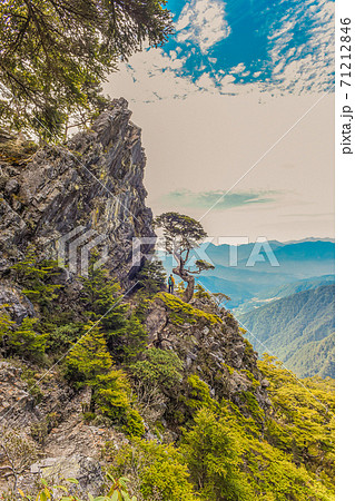 台湾 林 森 71212846