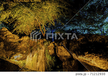 紅葉のライトアップ 天守閣自然公園 仙台市太白区の写真素材