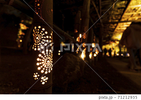 紅葉のライトアップ 天守閣自然公園 仙台市太白区 紅葉のライトアップ 天守閣自然公園 仙台市太白区 71212935