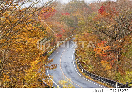 あられが降る蔵王エコーラインの紅葉 宮城県蔵王町の写真素材