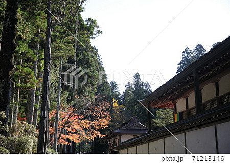 秋の高野山 秋の高野山 71213146