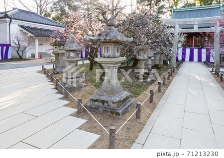 北野天満宮末社、一之保神社・奇御魂神社の紅白梅 71213230