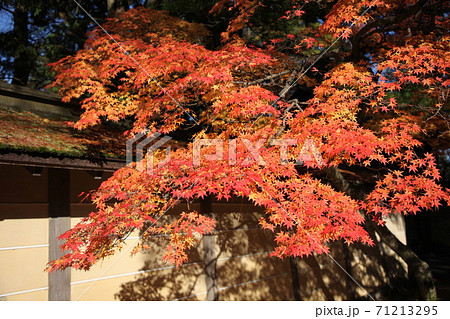 秋の高野山 秋の高野山 71213295