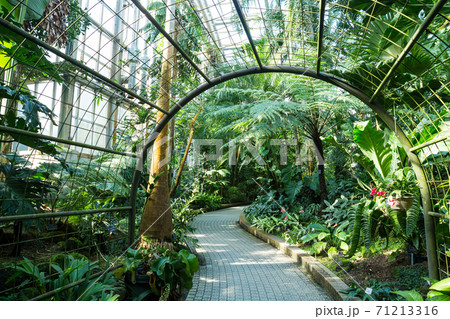 京都府立植物園 観覧温室ジャングル室のゲートの写真素材