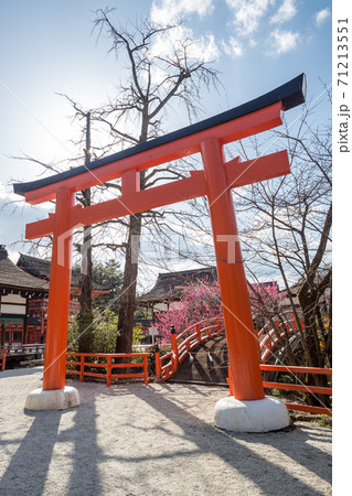 下鴨神社、「光琳の梅」が満開に咲く「輪橋」を背景に春の日差しを受けて立つ朱の鳥居 71213551