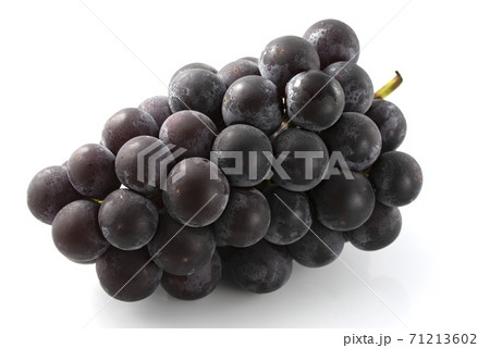 ぶどう　藤稔 71213602