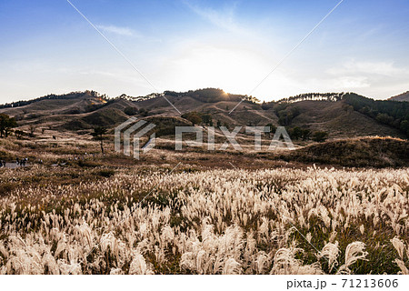 兵庫県・砥峰高原 秋イメージ 兵庫県・砥峰高原 秋イメージ 71213606