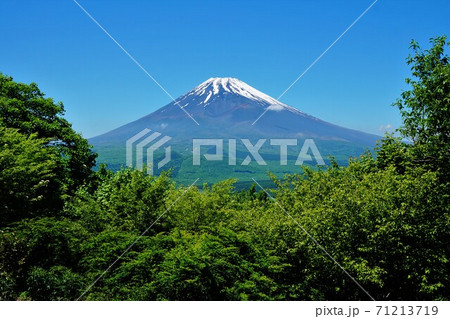 愛鷹山黒岳からの残雪の富士山 71213719