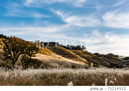 兵庫県・砥峰高原 秋イメージ 兵庫県・砥峰高原 秋イメージ 71214312