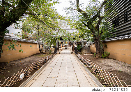新井山梅照院(新井薬師) 新井山梅照院(新井薬師) 71214336