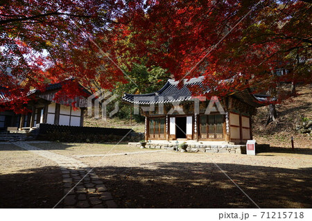 紅葉 秋 韓国 71215718