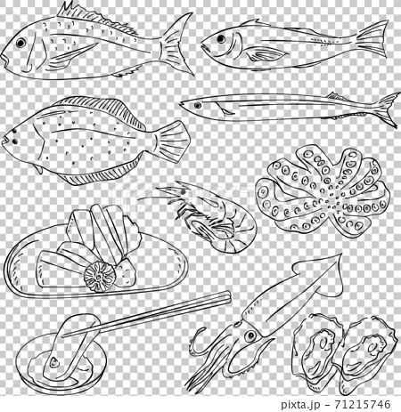 魚 和食 あしらい ペン画 手書きのイラスト素材