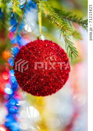 Close-up of holiday ornament for celebration Happy New Year. Shining red Christmas ball hanging on branch of Xmas pine tree 71215825