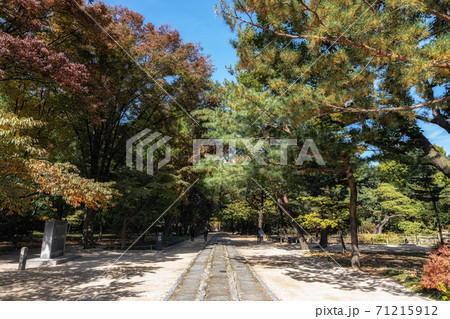 jongmyo shrine road 71215912