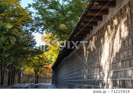 autumn foliage in deoksugung stonewall walkway 71215919