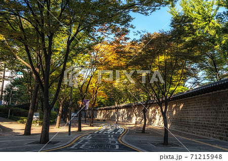 Deoksugung doldam gil road Deoksugung doldam gil road 71215948