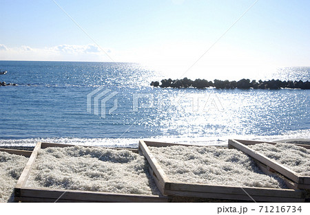 シラス干し シラス干し 71216734