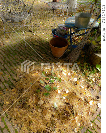 北の国麓郷から季節の便り 71217115