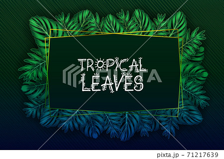 Exotic pattern with tropical leaves on a black background. Exotic pattern with tropical leaves on a black background. 71217639