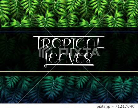 Exotic pattern with tropical leaves on a black background. Exotic pattern with tropical leaves on a black background. 71217640