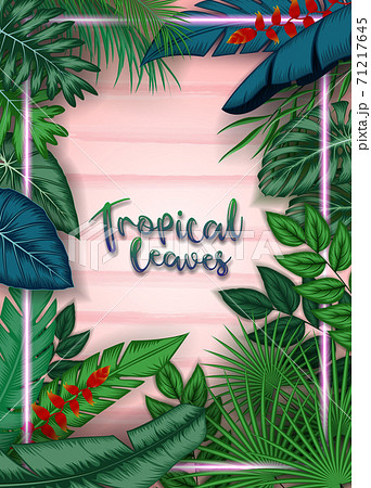 Exotic pattern with tropical leaves on a black background. 71217645