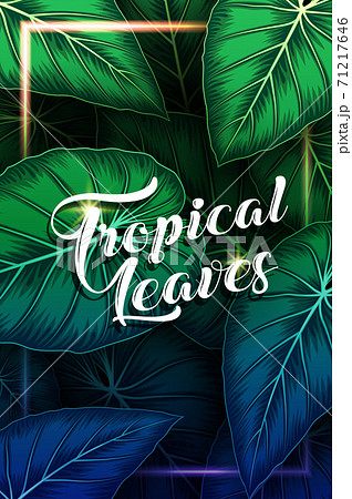 Exotic pattern with tropical leaves background 71217646