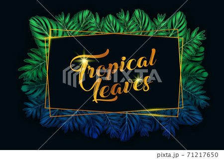 Exotic pattern with tropical leaves on a black background. 71217650