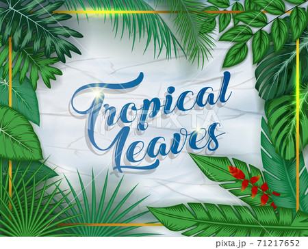 Exotic pattern with tropical leaves on a black background. 71217652