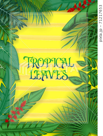 Exotic pattern with tropical leaves on a black background. 71217653