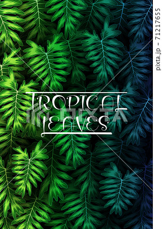 Exotic pattern with tropical leaves on a black background. 71217655