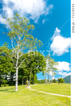 蒜山高原　新緑・初夏の風景 71218143