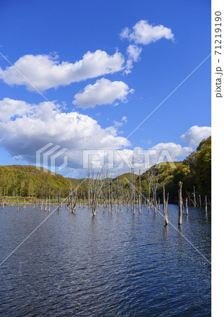 北海道 赤井川村 落合ダム 北海道 赤井川村 落合ダム 71219190