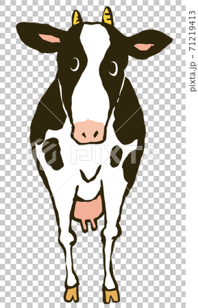 正面から見た 立っている牛のイラストのイラスト素材