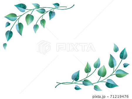 清潔感のある葉っぱとツタ水彩のイラスト素材 清潔感のある葉っぱとツタ水彩のイラスト素材