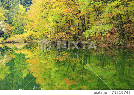 龍ヶ窪の池の神秘的な紅葉 龍ヶ窪の池の神秘的な紅葉 71219742