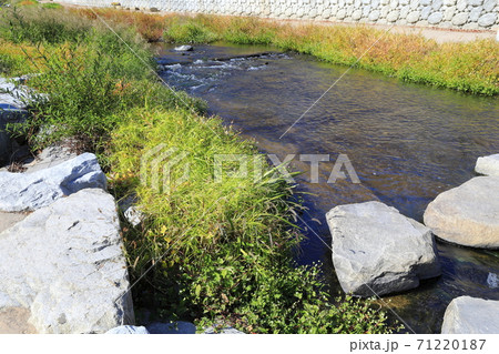 小川 秋 流れる 71220187