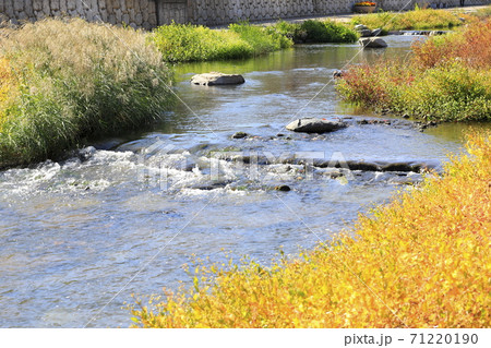 秋 流れる 小川 71220190
