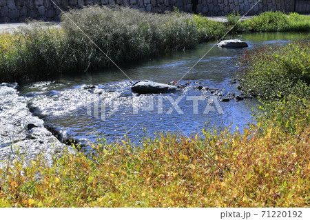秋 流れる 小川 71220192