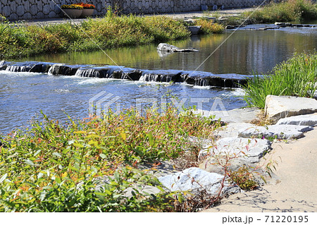 秋 流れる 小川 71220195