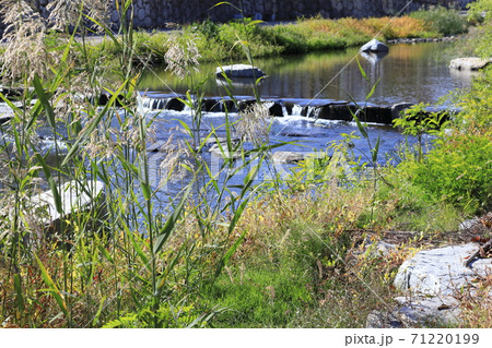 秋 流れる 小川 71220199