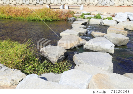 秋 流れる 小川 71220243