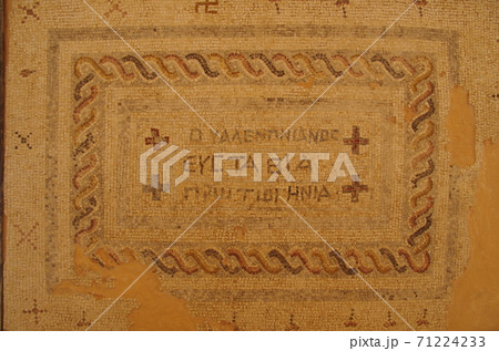 【ヨルダン】イルビッド、ウンムカイス遺跡博物館に展示されたモザイク画 71224233