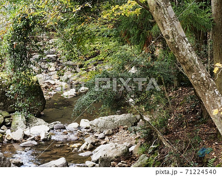 紅葉間近の羅漢渓谷 71224540