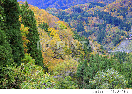秘境　秋山郷の紅葉 71225167