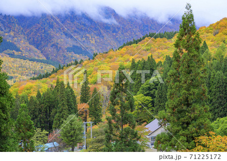 秘境 秋山郷の紅葉 秘境 秋山郷の紅葉 71225172