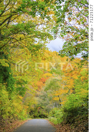秘境　秋山郷の紅葉 71225177
