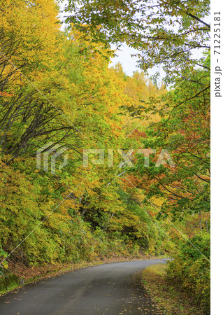 秘境　秋山郷の紅葉 71225181