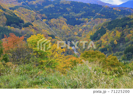 秘境 秋山郷の紅葉 秘境 秋山郷の紅葉 71225200