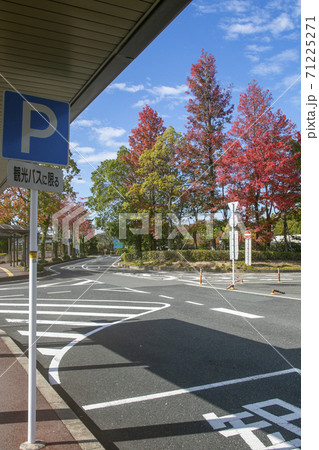 岡山空港の秋、紅葉が始まり観光シーズン到来 岡山空港の秋、紅葉が始まり観光シーズン到来 71225271