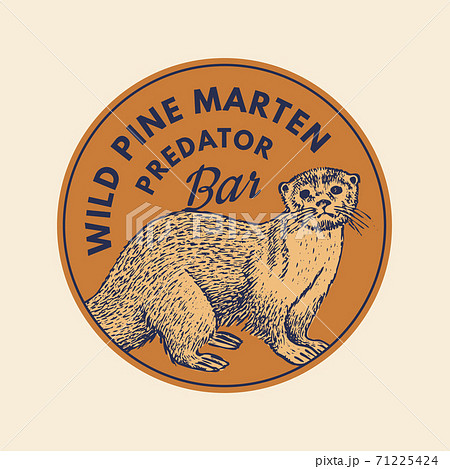 Wild animals stickers in vintage style. Forest or pine marten. Retro monochrome badge or label 71225424